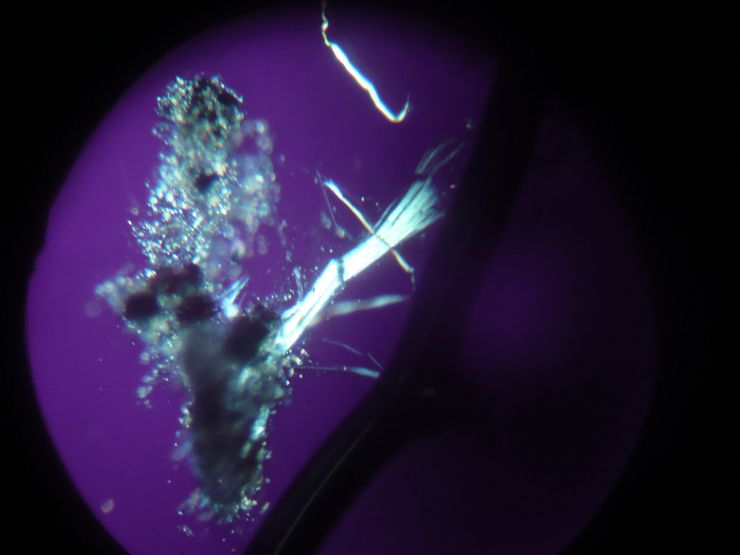 mikroskopische Untersuchung von asbesthaltigem Isoliermaterial